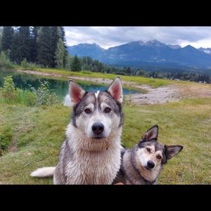 Meet your Posher, Krista